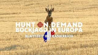 Bockjagd in Europa - Blattzeit in 🇫🇷 Ein @huntondemand Film