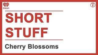 Short Stuff: Cherry Blossoms | STUFF YOU SHOULD KNOW
