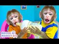 Macaco Rio quer ser um bom irmão mais velho para do macaquinho | Animal Macaco Rio