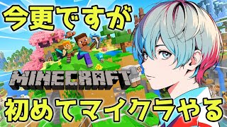 【初心者マイクラ】今更ながら始めます！#Minecraft