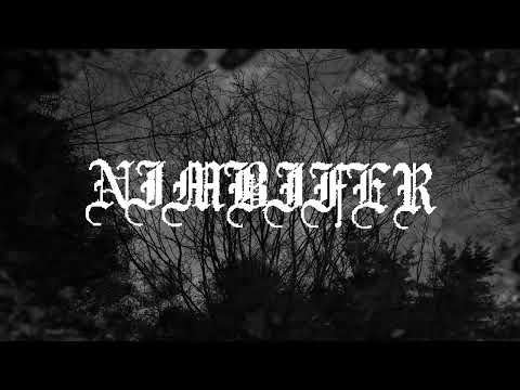 Nimbifer - Am Boden