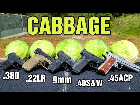 Pistols vs Cabbage .22LR .380 9mm .40S&W .45ACP Defense Ammo