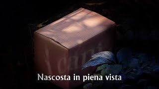 I Cani - Nascosta in piena vista