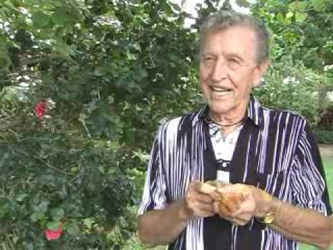 World's tallest cotton plants grow locally in...