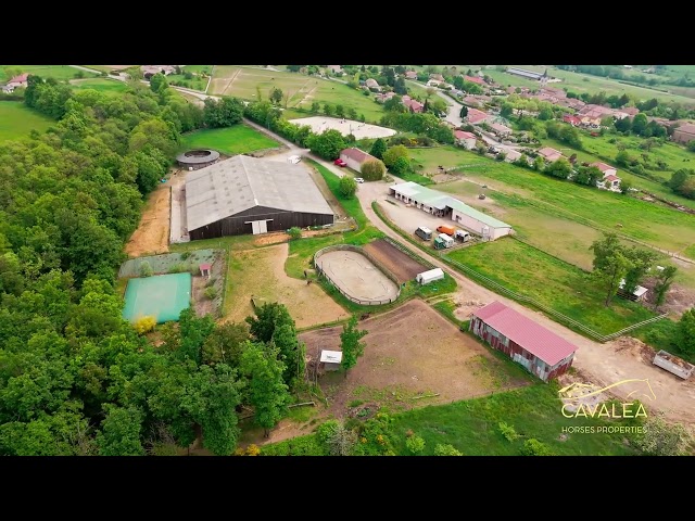 Centro di stagione cavallo In vendita Dr&ocirc;me