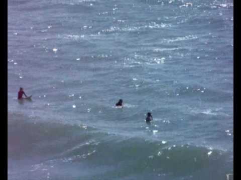 Bonus Video Kbronx Summer 2009