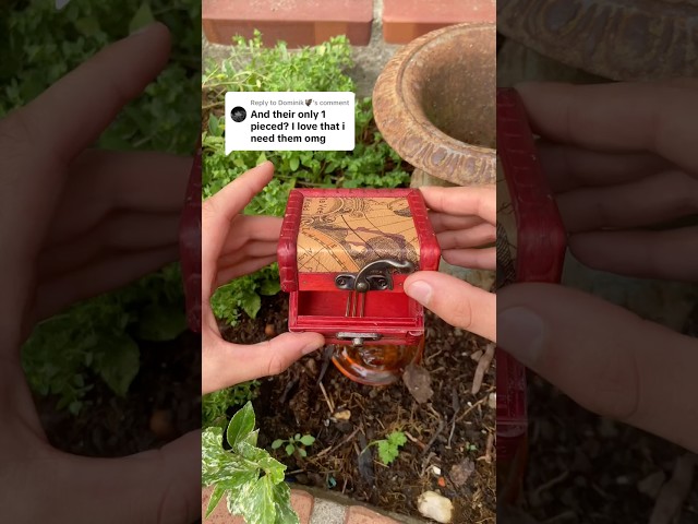 Vídeo relacionado con JewelryWe Pendientes Aro Zoro Hombre: Juego de Aretes Colgantes de Personaje de Anime de Acero Inoxidable para Caballero Hipoalergénico Antialérgico 3 Piezas - Para Uso Diario Regalo