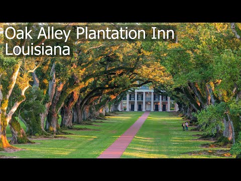 A night at the Oak Alley Plantation Inn, USA – experience the famous plantation without the crowds!