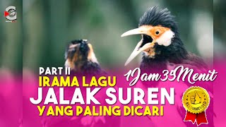Download lagu AUDIO JALAK SUREN PART II : IRAMA LAGU PALING DICARI UNTUK MASTERAN BURUNG JUARA mp3 Download lagu AUDIO JALAK SUREN PART II : IRAMA LAGU PALING DICARI UNTUK MASTERAN BURUNG JUARA mp3