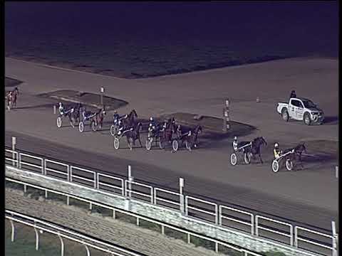 Trotto 07/12/2018 - 7ª corsa