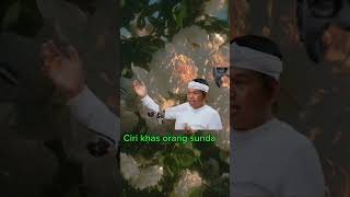 Download lagu Orang sunda ngomong semaunya tanpa basa basi. #dedimulyadi #kdm #sunda mp3 Download lagu Orang sunda ngomong semaunya tanpa basa basi. #dedimulyadi #kdm #sunda mp3