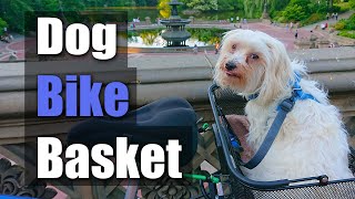 Axiom Bike Basket for dogs - better than a pet trailer