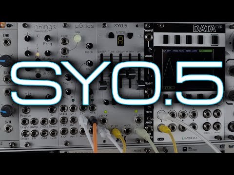 Michigan Synth Works SY0.5 - Black image 2