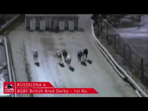 BGBF British Derby Heat 1 - RUSSELENA BOWWOW