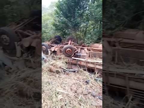 Caminhão com carga de suínos tomba na ERS-472