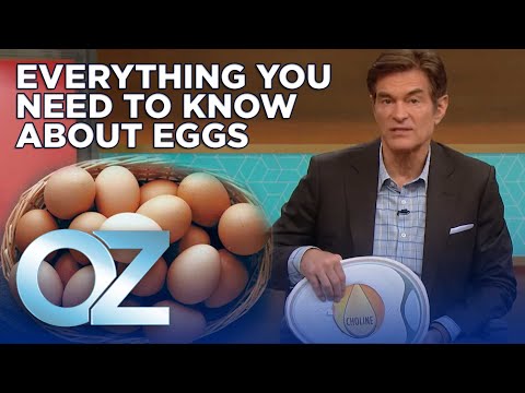 Everything You Need to Know About Eggs | Oz Health