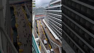 Hello Neighbors!…. #cruiseship #cruise #travel #vacation #viral #shorts #yt #ytshorts #ship