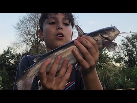 Pescaria de bagre #pescaria -felipe da pesca
