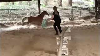 THE LONGHOUSE CHERUB