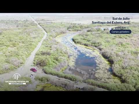 Campo Ganadero de Cría y Recría en Sol de Julio | Más de 700 ha Forrajeras