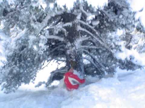 Lottum in  mayerhofen 2005