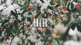 J Sutta - Forever (SCALES Remix)