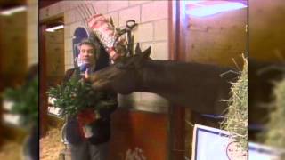 Breeders' Cup Moments: Age Ain't Nothing But a Number