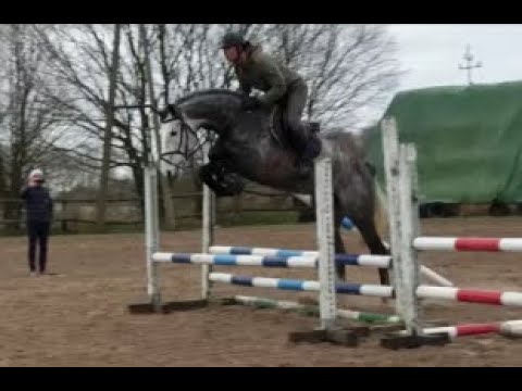 OLDENBURG 2015 JUMPING OGANO SITTE/DARCO/CHACCO BLUE/CENTO