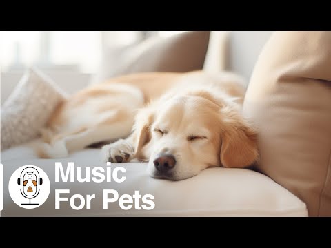Soothing Music for Dogs to Calm Down, Relax & Sleep | Dog Music Therapy Calming Aid for Relaxation