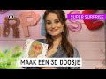 3D PORTRET OP EEN DOOSJE | Super Surprise | NPO Zapp