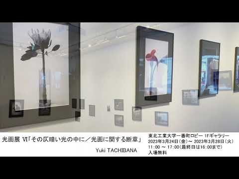 光画展 Ⅵ「その仄暗い光の中に／光画に関する断章」