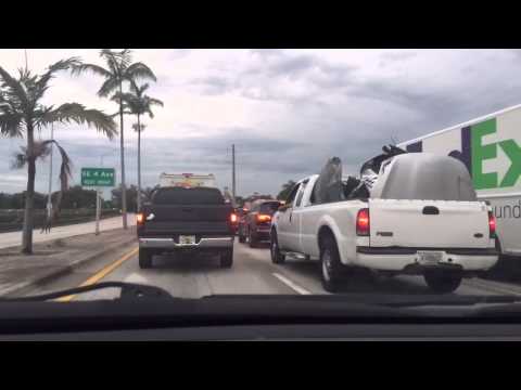 Flowing Through Miami Traffic