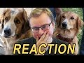 Anden Reacts to A Dog's Purpose trailer