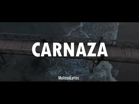 download lagu mp3 mp4 Carnaza Letra, download lagu Carnaza Letra gratis, unduh video klip Carnaza Letra