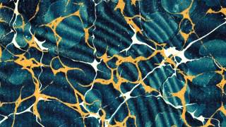 Wild Nothing ~ Rheya (Nocturne)