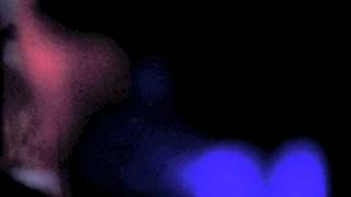 Nothing To Lose - Our Salvation (FOOTAGE VIDEO)