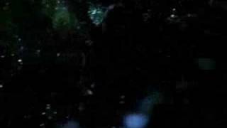 "Has anybody seen our ship?" - Janeway & Chakotay