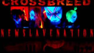Crossbreed - Breathe