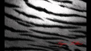 Tiger Lillies - Forever Together