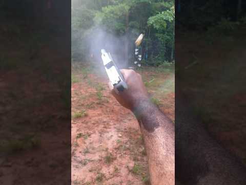 Taurus G2C 9mm | 2 Tone Stainless Steel  🔥 Mag Dump