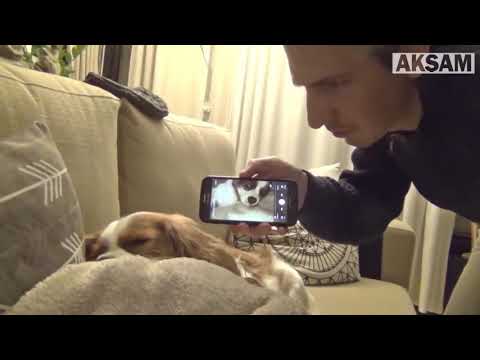 Horlayan köpeğinden intikam alan adam :)