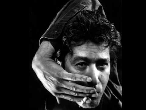 What's in a bird - BASHUNG