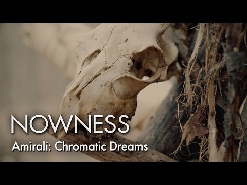 Amirali: Chromatic Dreams (Official Video)