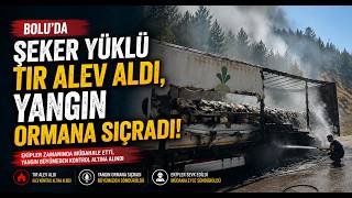  Bolu’da Şeker Yüklü Tır Alev Aldı, Yangın Ormana Sıçradı