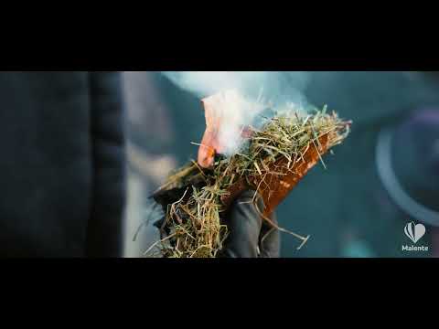 Outdoor / Survival - Schule Malente