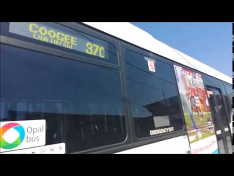 Three times as BAD, Sydney Buses Route 370 Buses conga line at a single bus stop