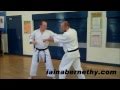 Practical Kata Bunkai Passai Bassai Dai Bunkai