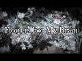 Dear and the Headlights - Flowers for My Brain | Lyrics ✉︎