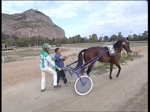 6° CORSA  del 18 MAGGIO 2016 - (3 Anni) - GARA CENTRALE