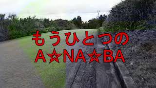 【音量】孤独なゴミ拾い【注意】